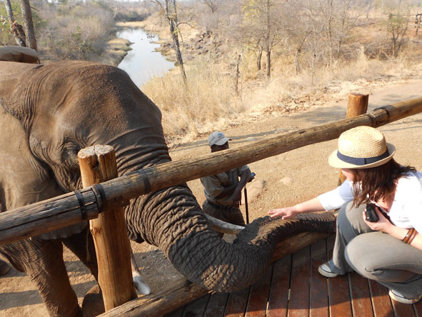 Mary Keet - making 'giant' friends...